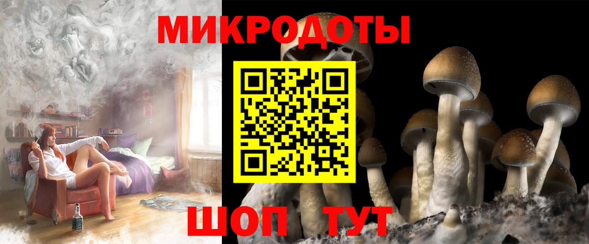 Псилоцибиновые грибы Psilocybine cubensis  Вход с VPN  Чистополь 